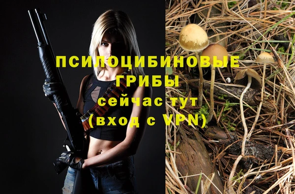 гашиш Няндома