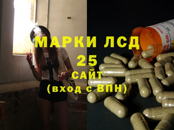 стаф Алзамай