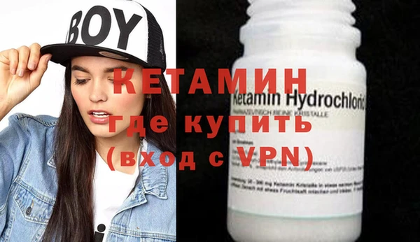 стаф Алзамай