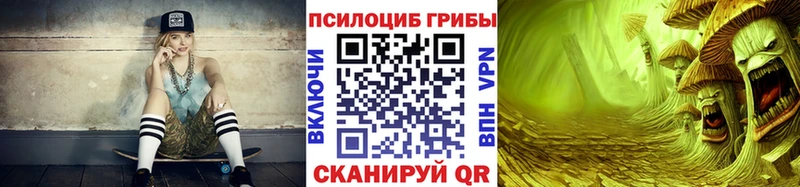 Псилоцибиновые грибы Psilocybine cubensis  где найти   Опочка 